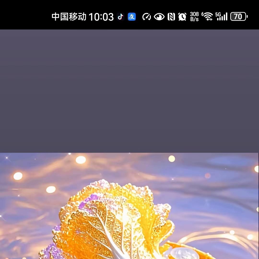 55326510706