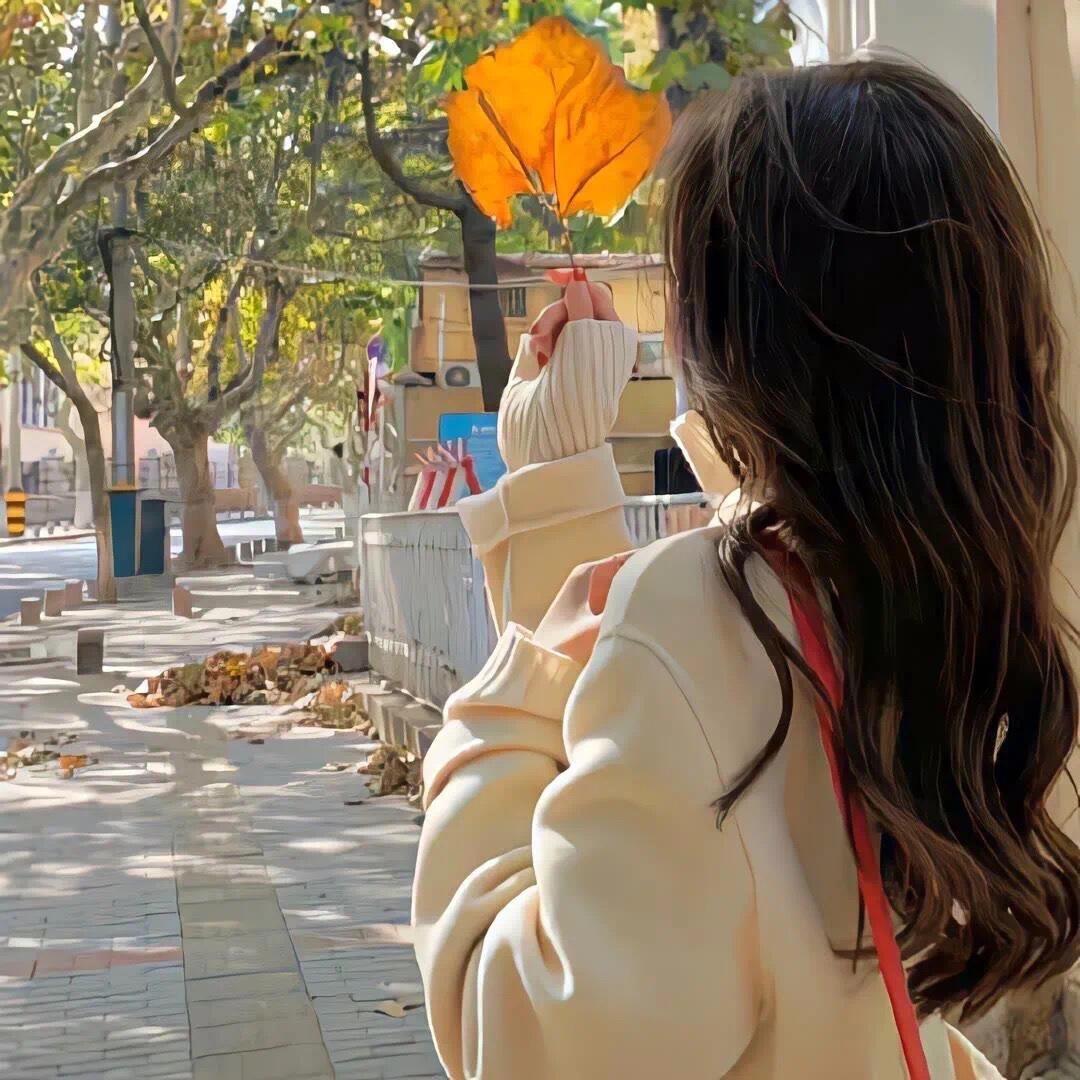 晚风吹行舟