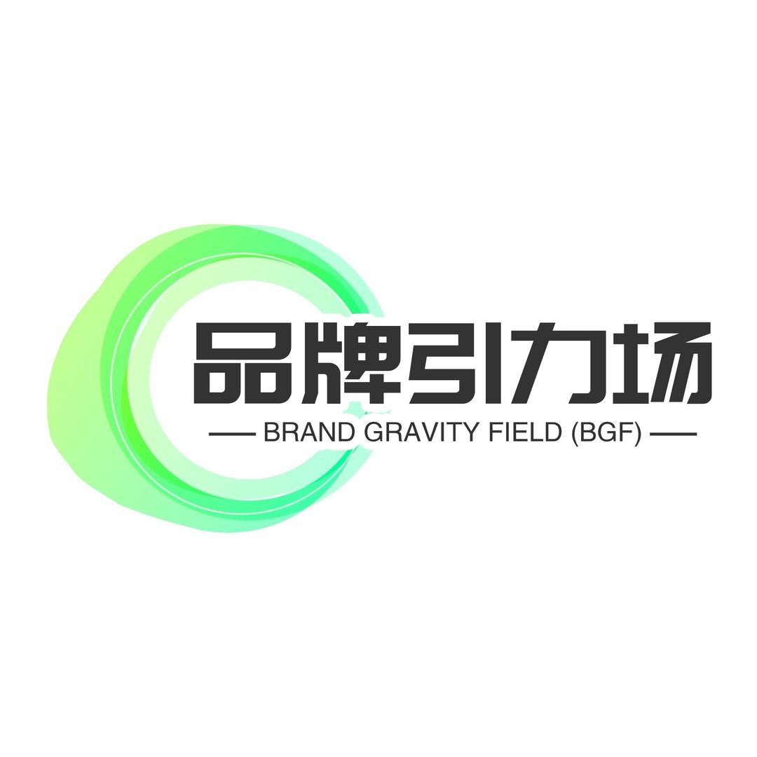 品牌引力场 BrandPulse