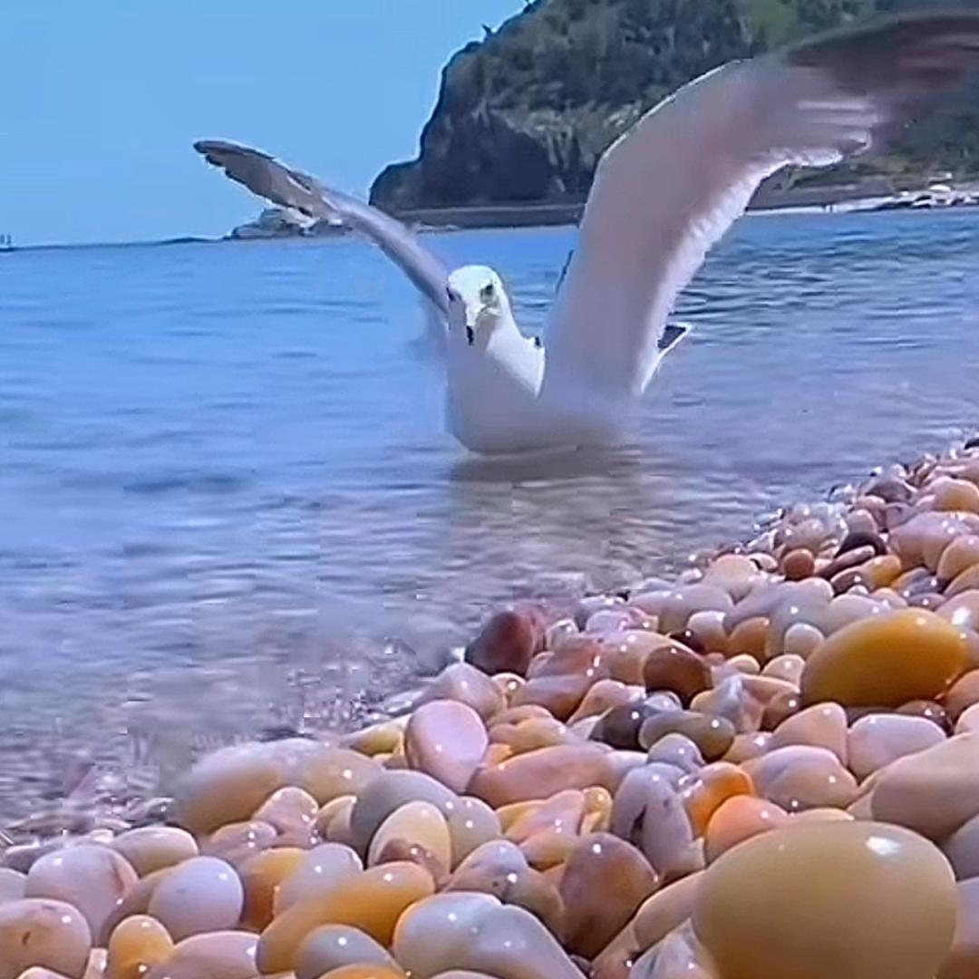 夕阳无限好