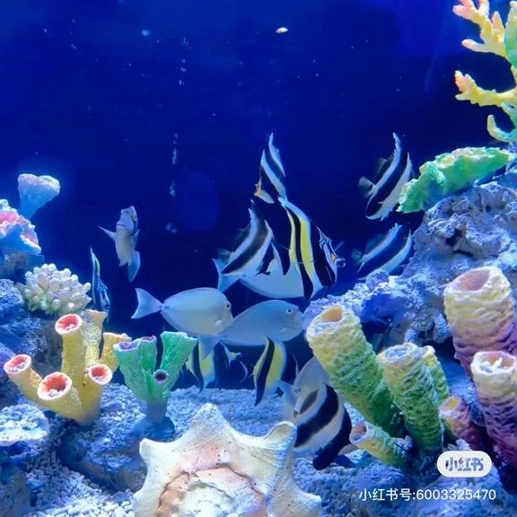 襄阳好吃吖