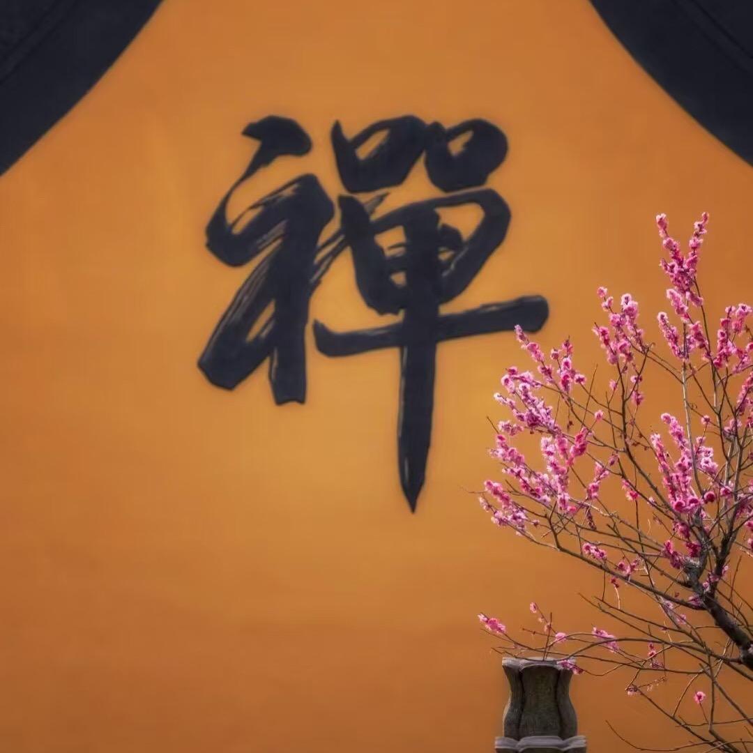 国学淑婷