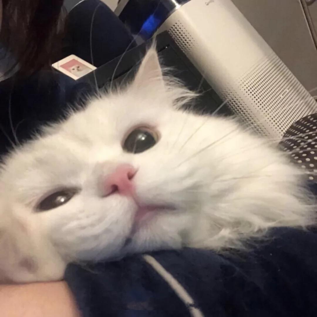 百亿逛潍坊