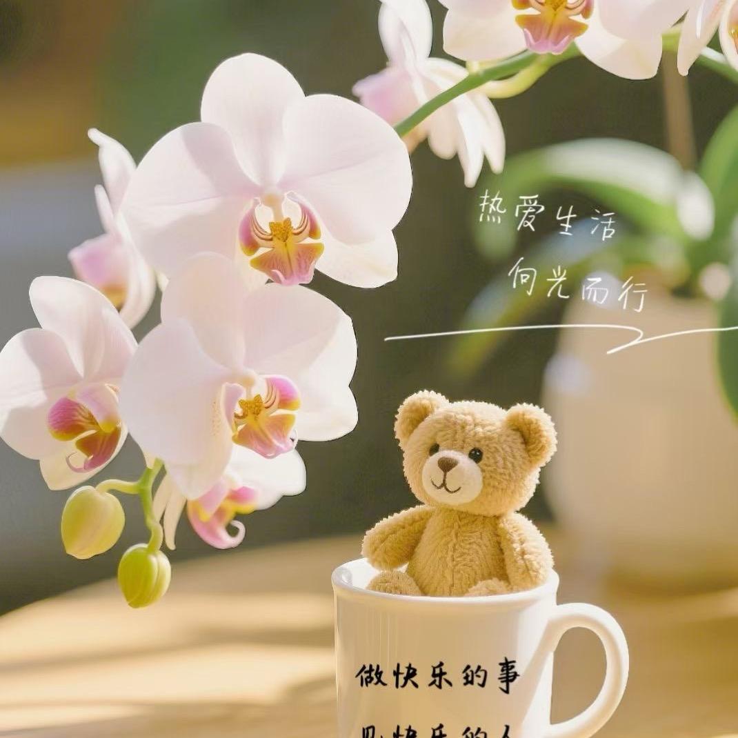 🍀小薇