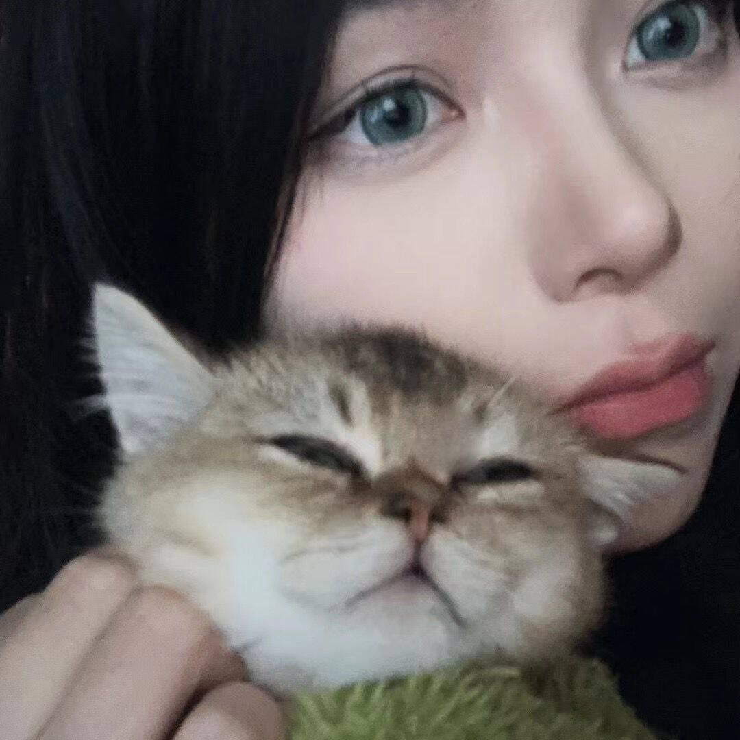 三只鱼短剧