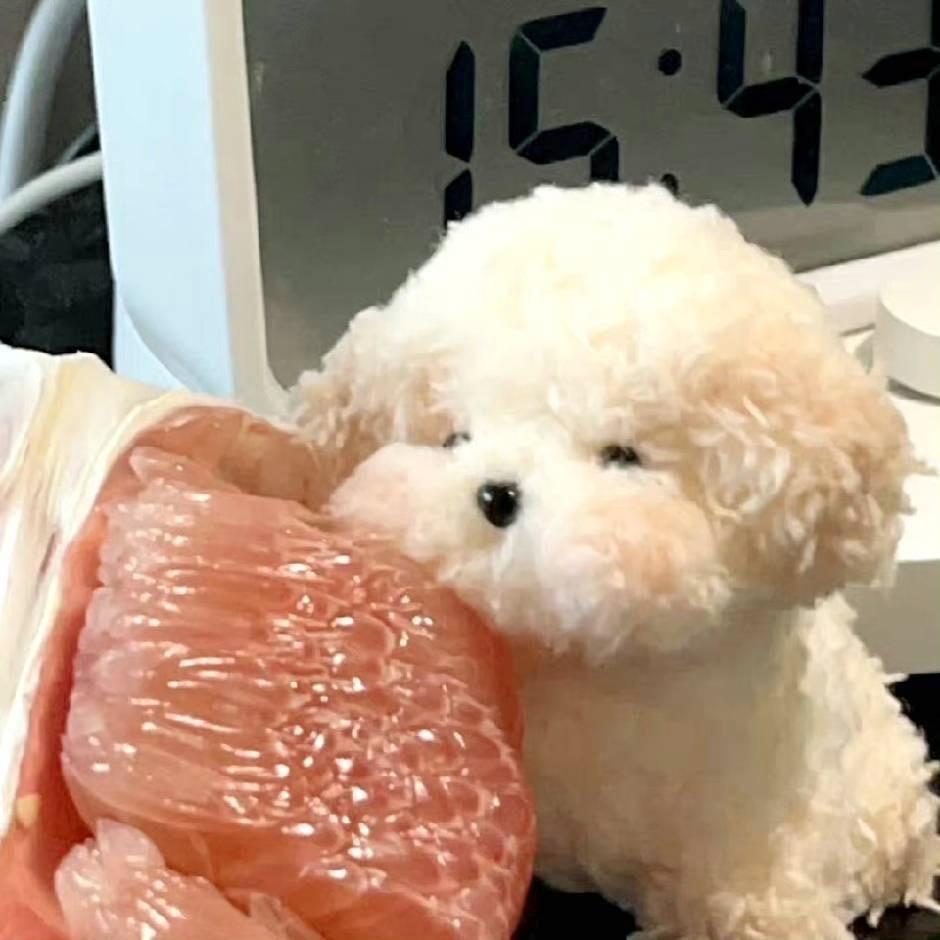 巫西米西蒂西