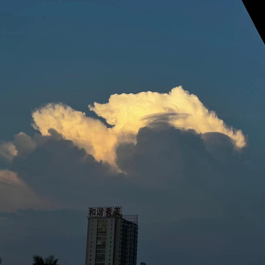 a灰太狼
