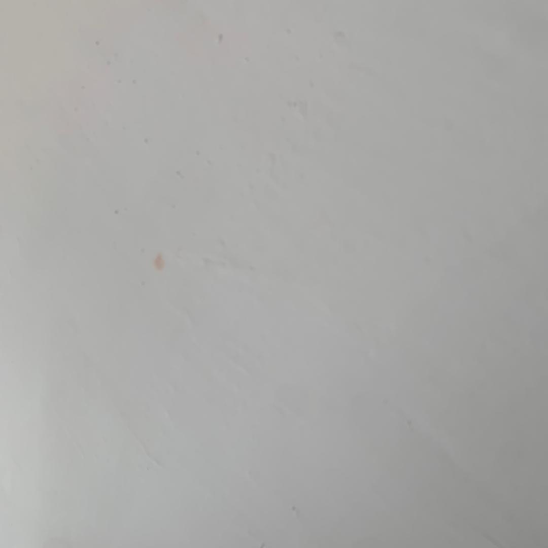 羽⑤