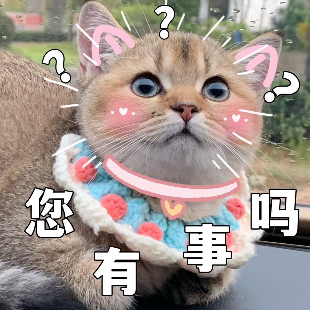 飛天小芯