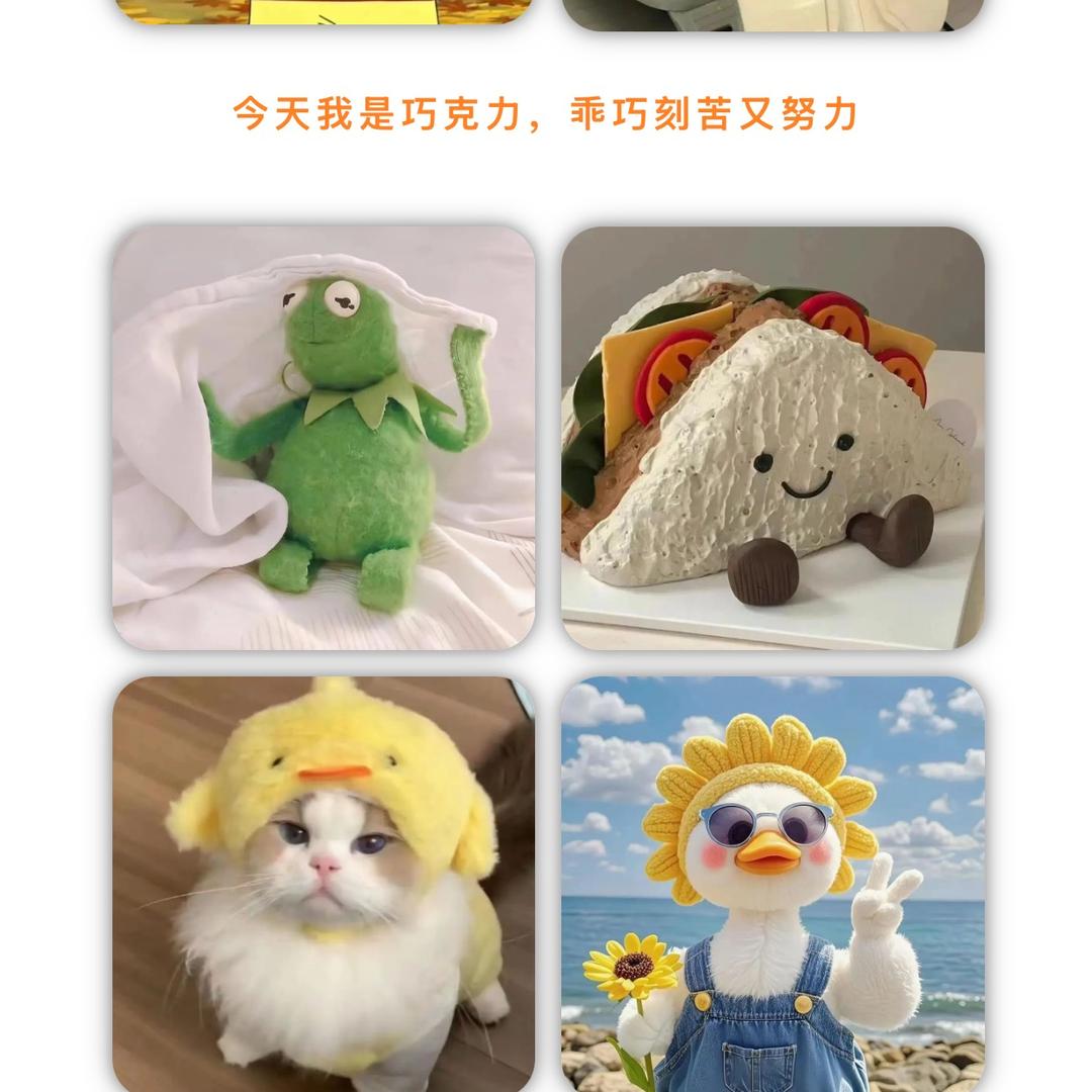 真逗(❁´︶`❁)