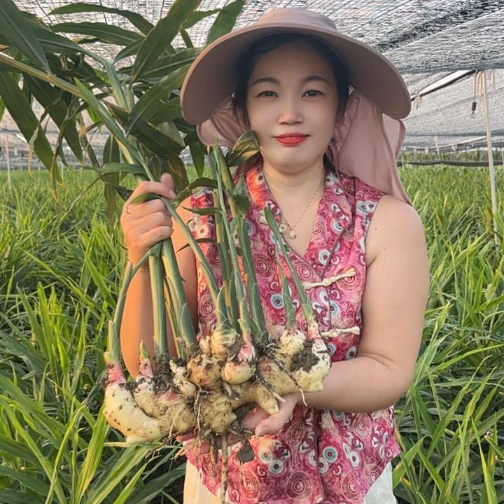 河南娟子说姜
