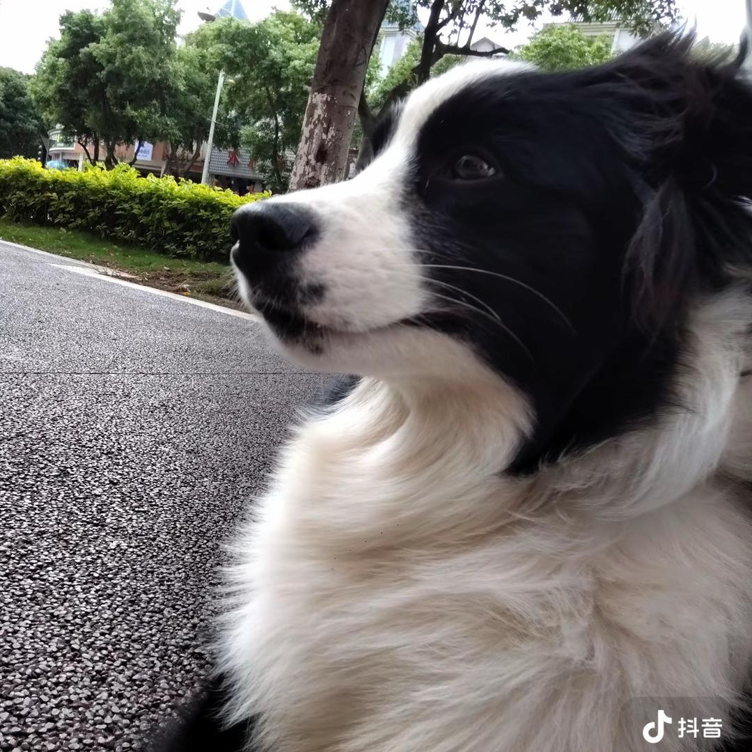 吊丝哥哥