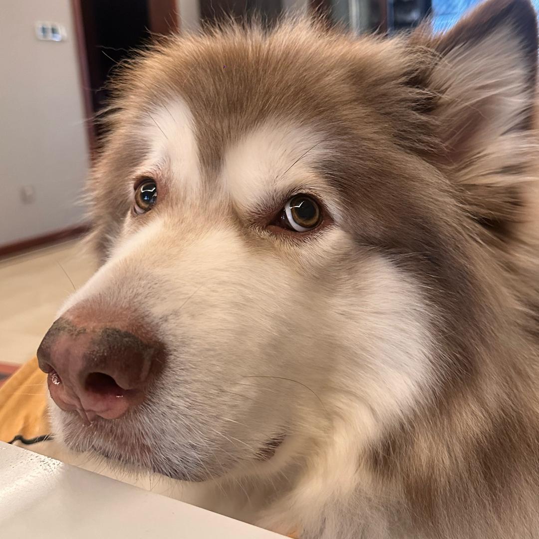 底料不是火锅