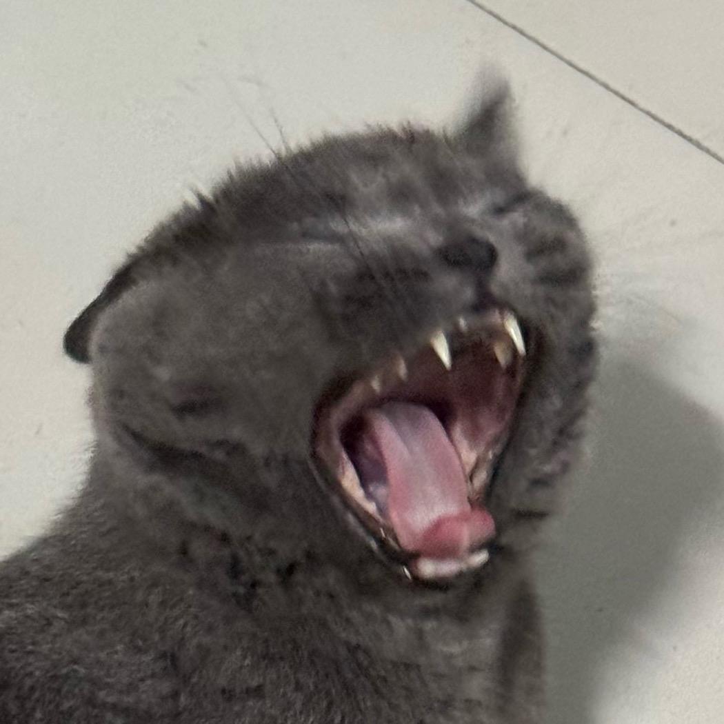 Just天天