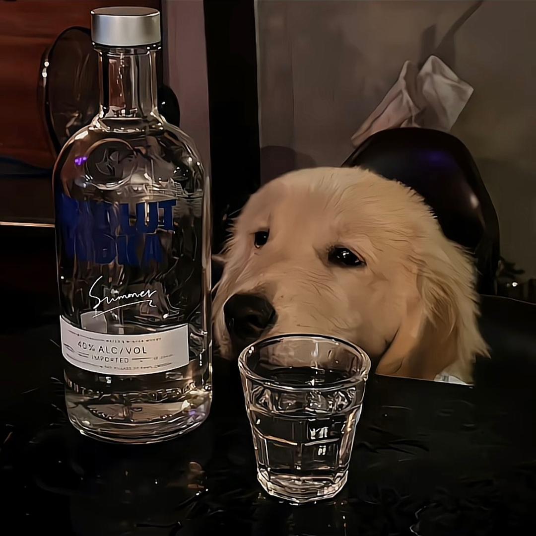 骁祈