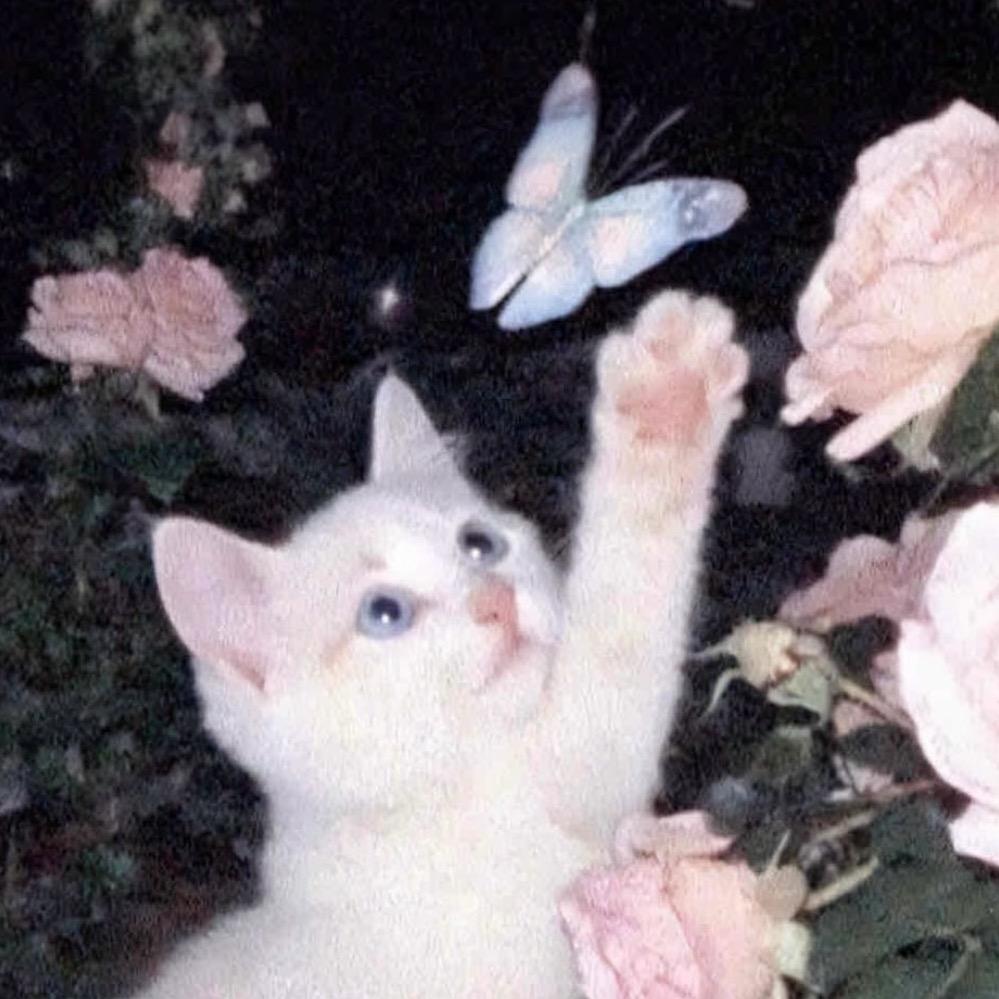 🌸不加糖