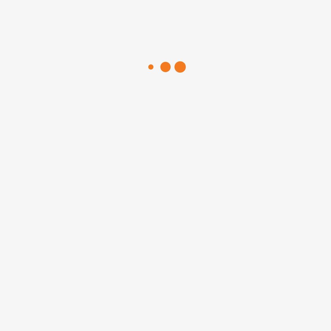 105852306401