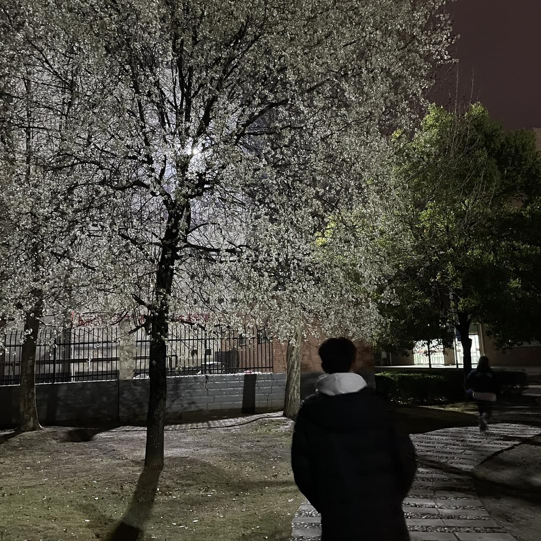 招笑乐
