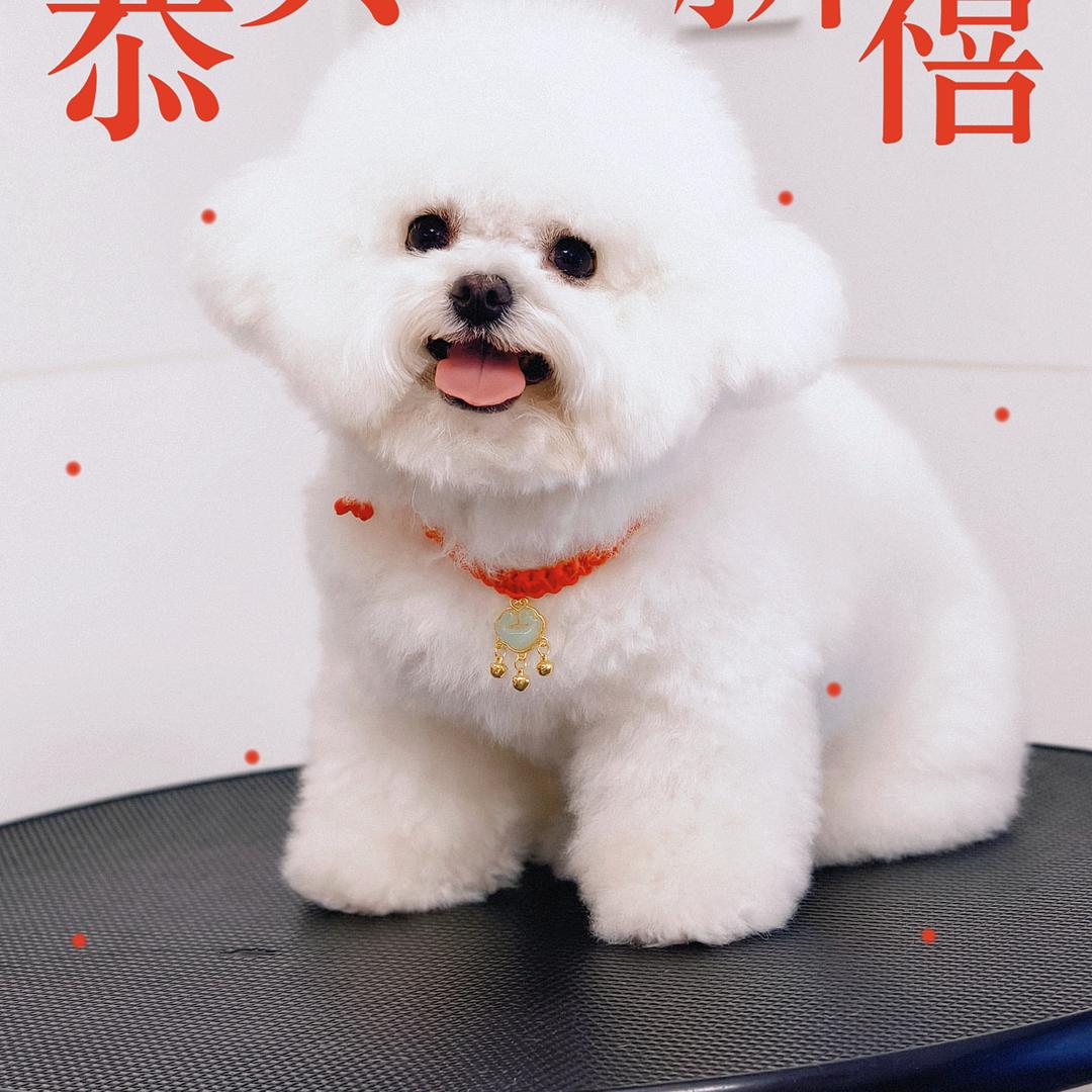 晶晶（宝宝）