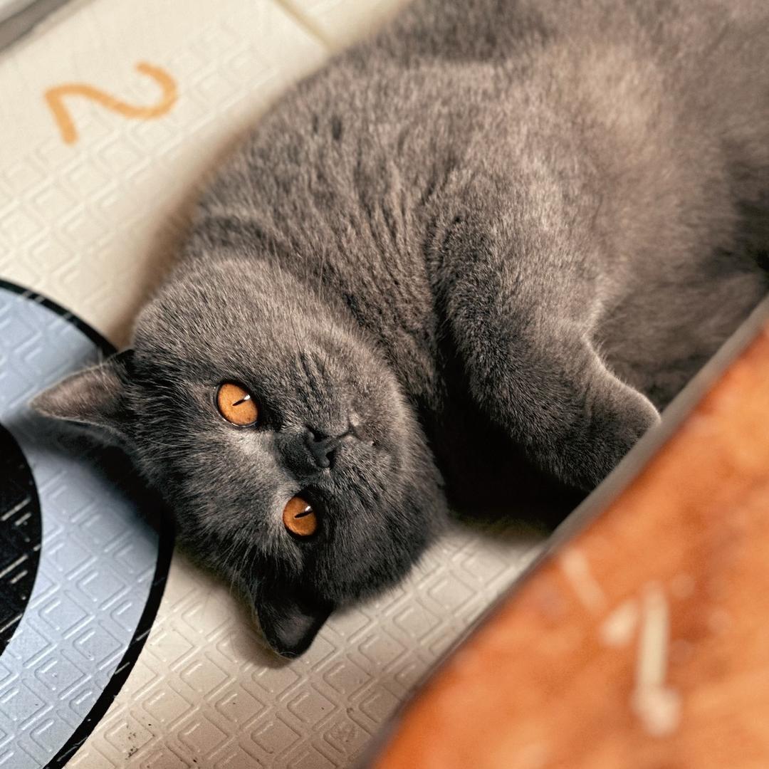 腾冲市和顺镇云来客栈