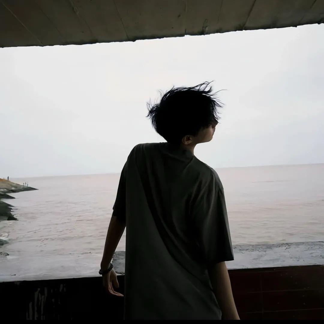 鲨鱼