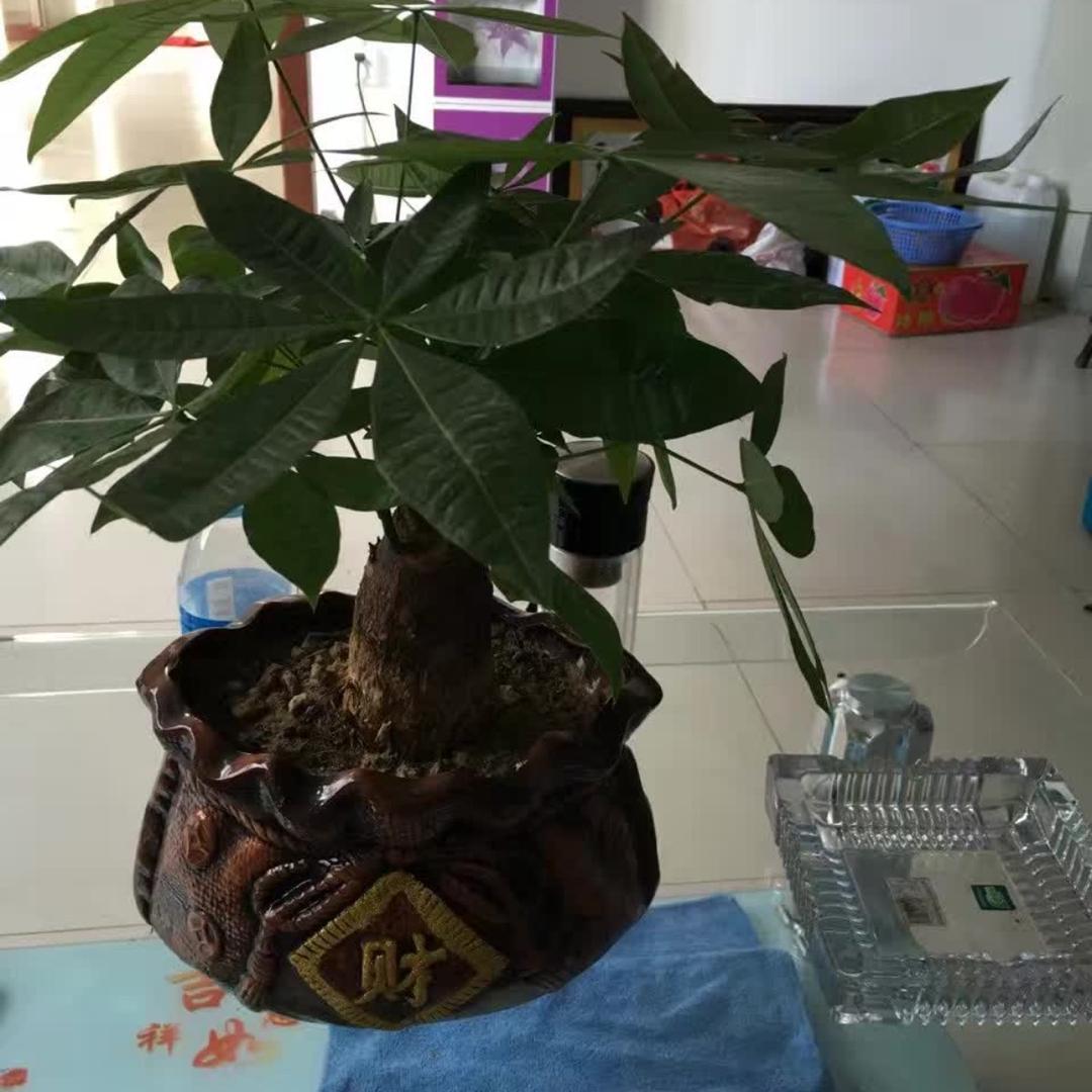 随缘随心