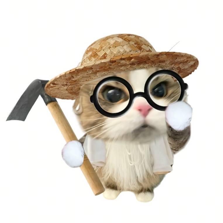 猫meme小剧场