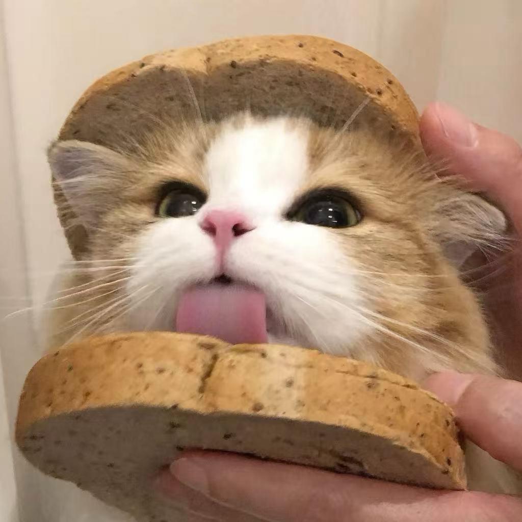 好精彩啊