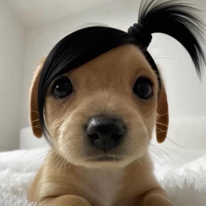 爱吃包子