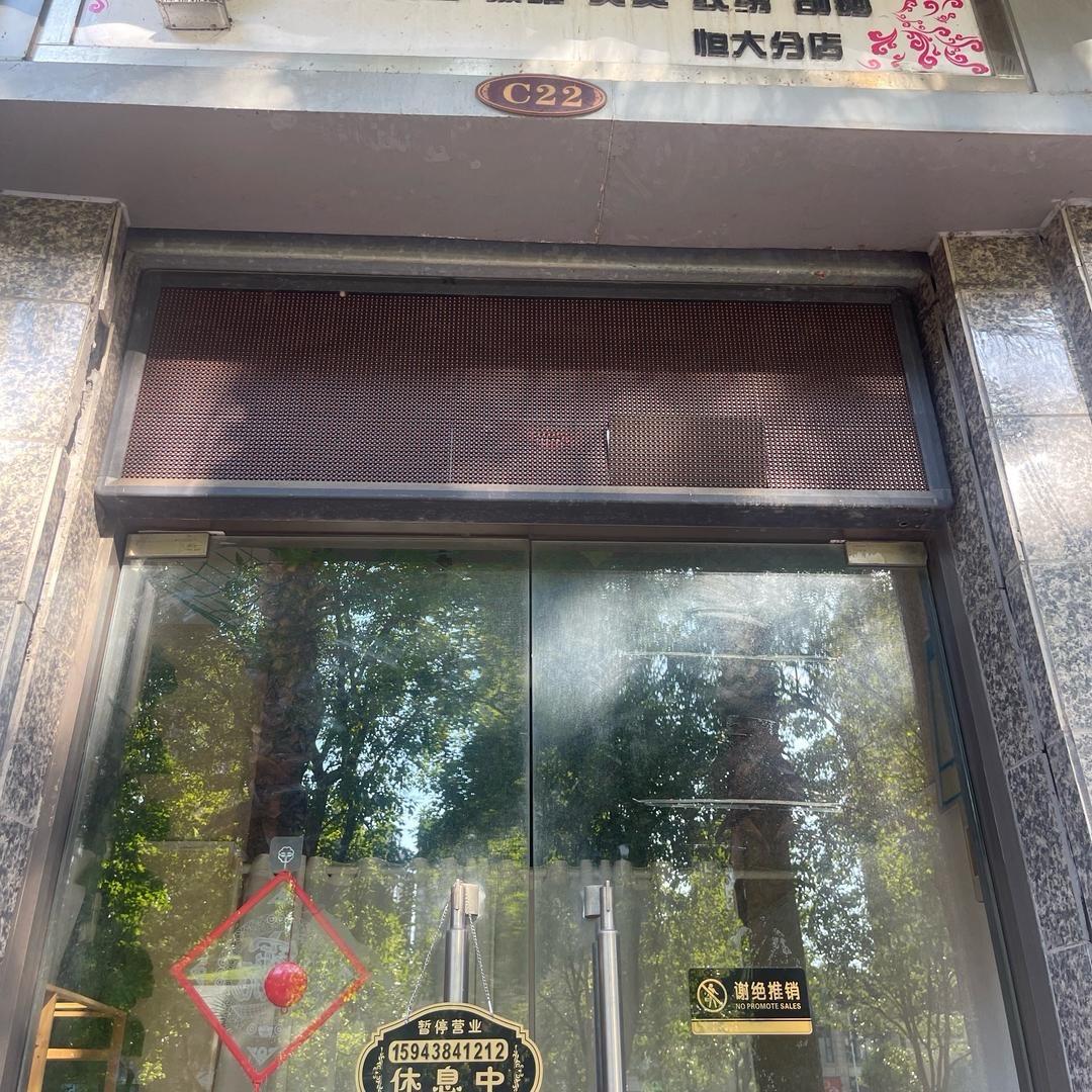 东北雪儿