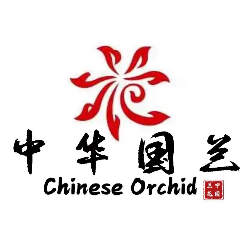 中华国兰