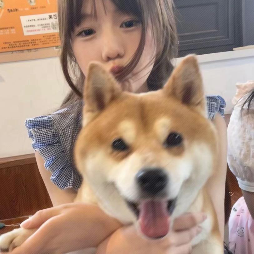 誓死守护齐刘海.
