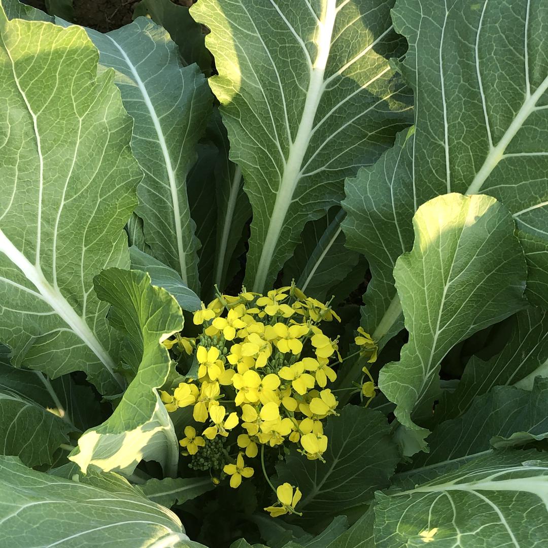 立美鲜享果蔬生活坊