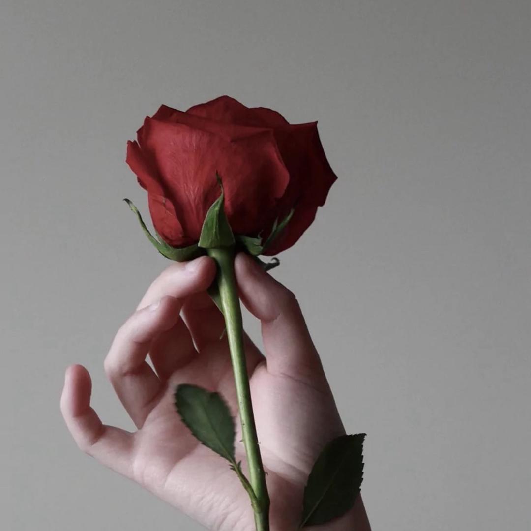 七月¹⁸θ🍃👑