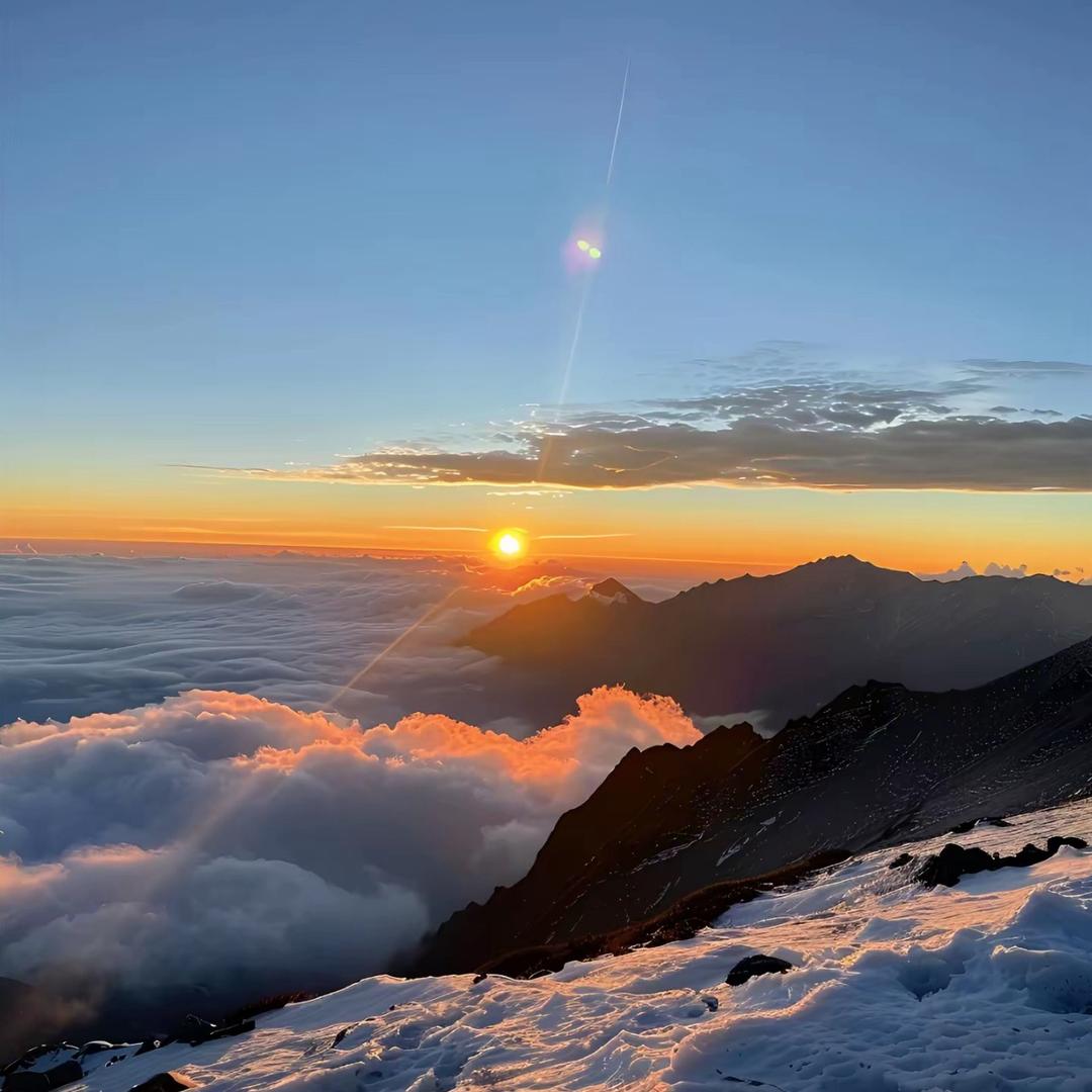 诗坚-遂于直播号