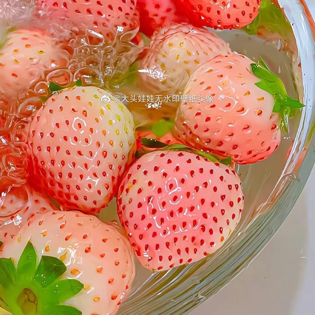 ⁺◟ 🍋手打柠檬