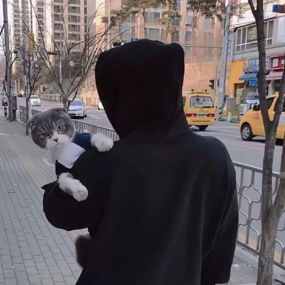 ༺太子༻