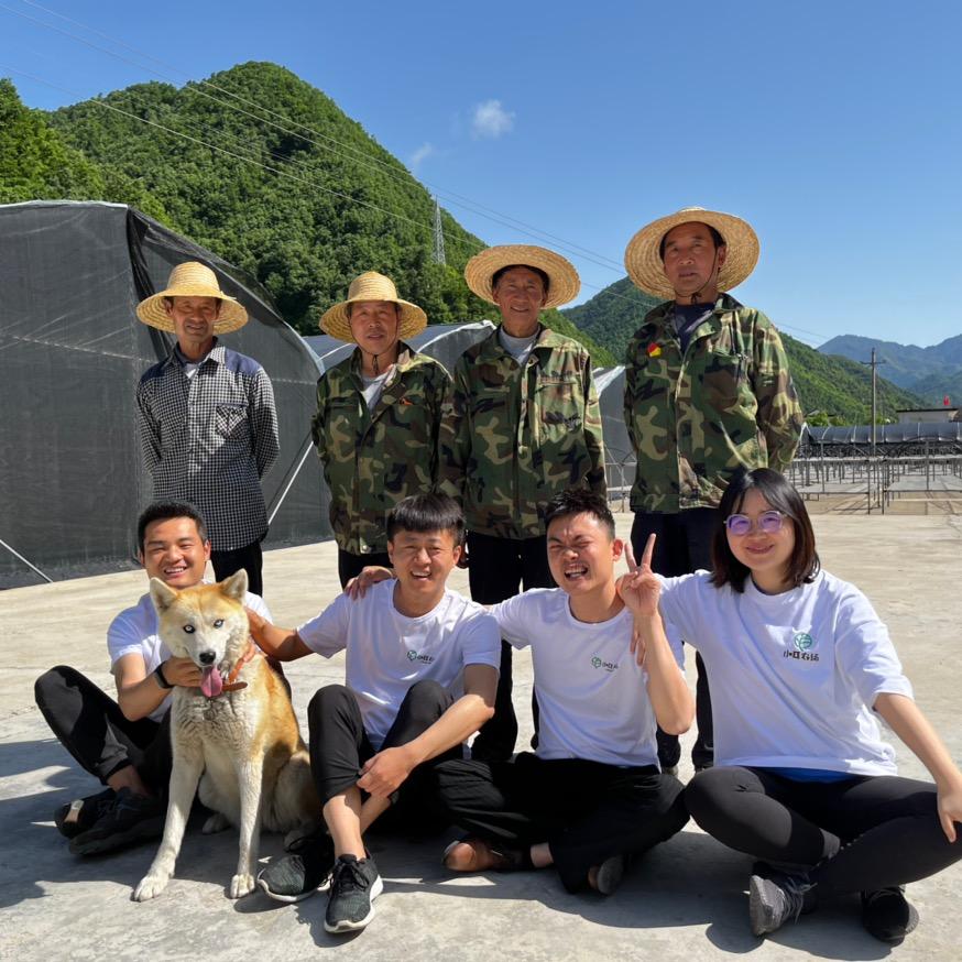 万山丛树果蔬旗舰店