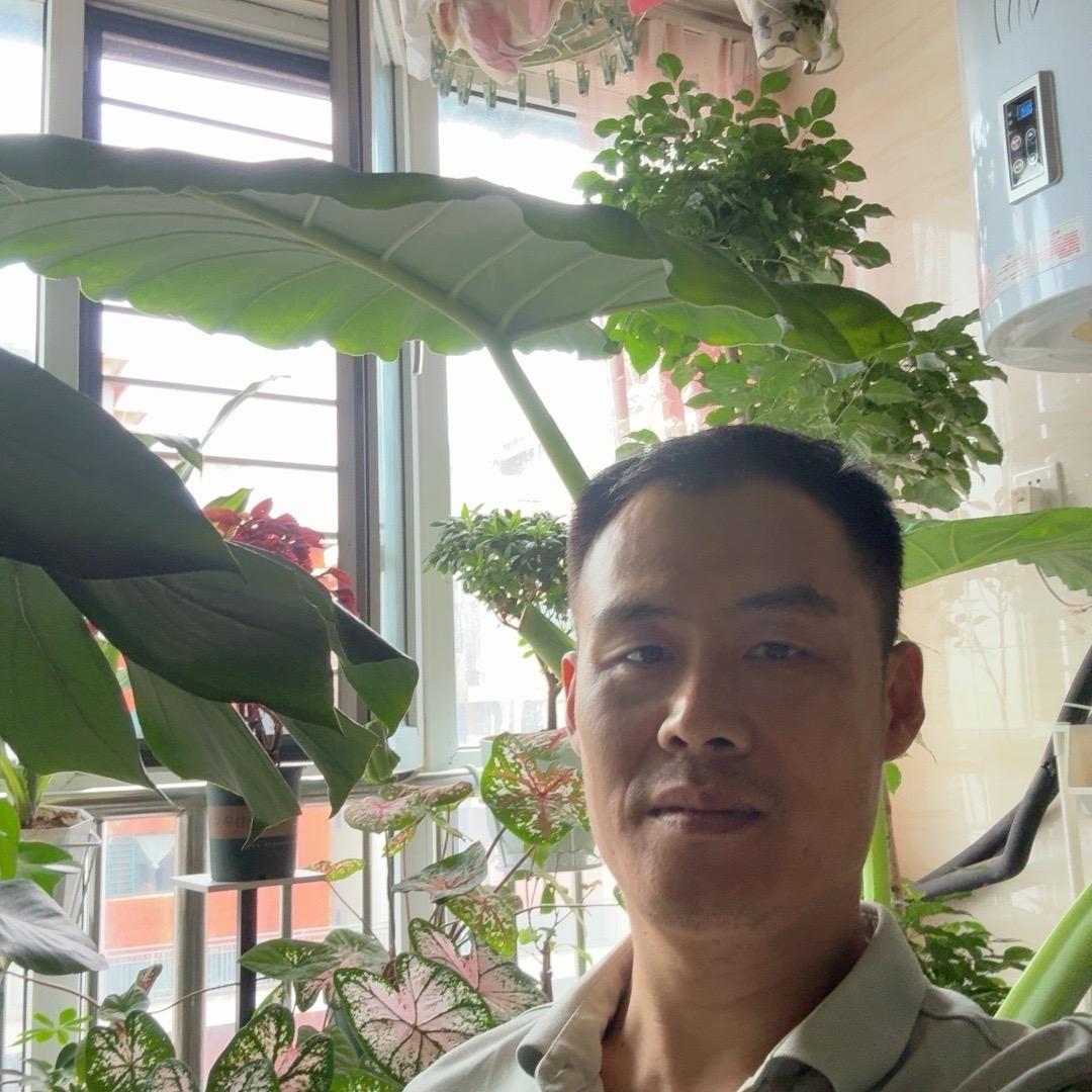 喜欢养花的老秦