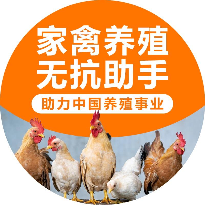 养殖闫选