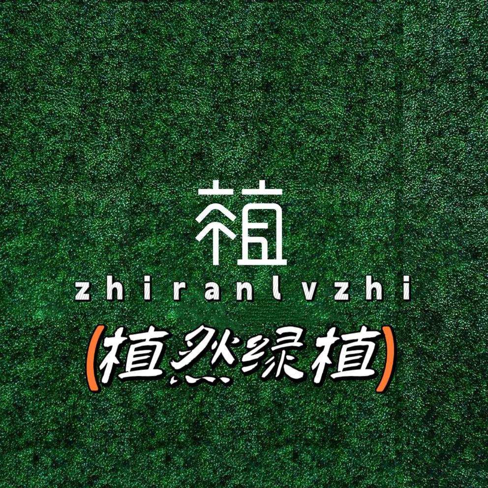 植然绿植基地