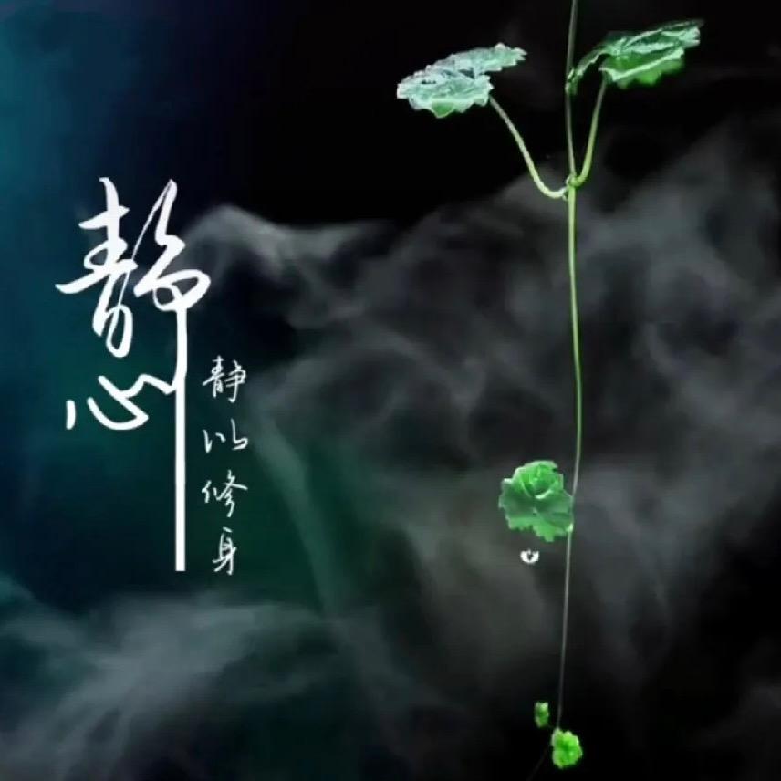 斋    @🐟放大自然