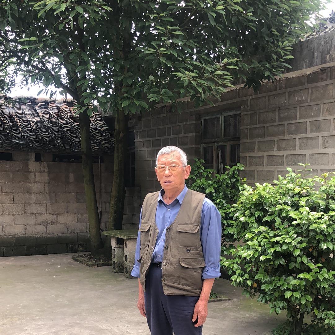 九大伯