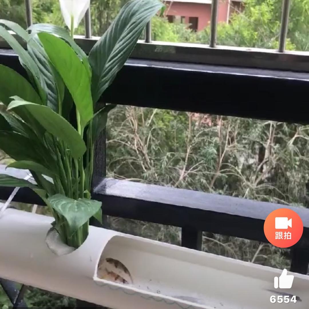 然然