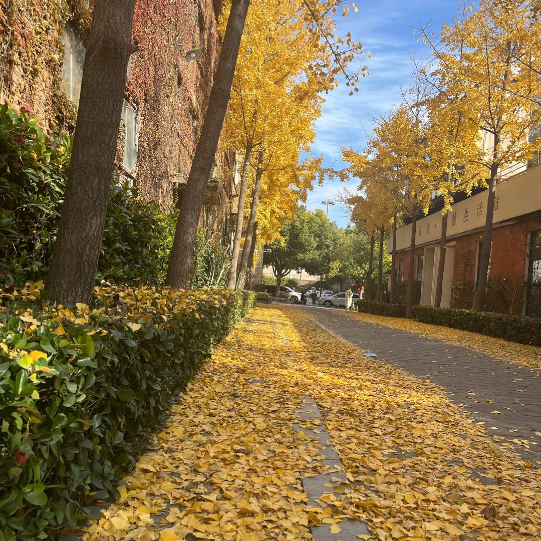 岩岩优选