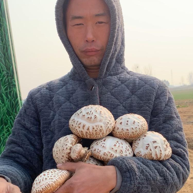 建果种植场