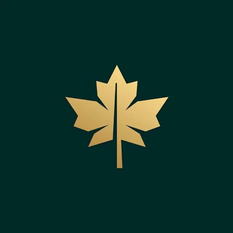 梧桐滋补营养-59