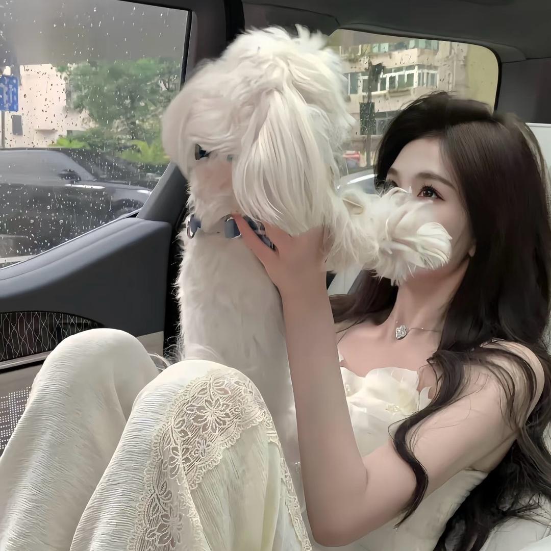 乐酱🖤
