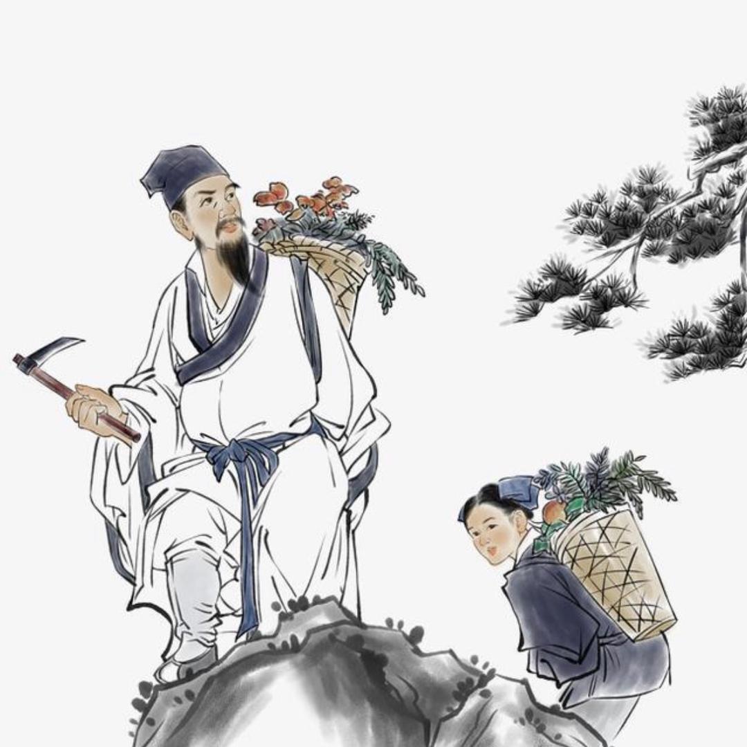 传统书舍