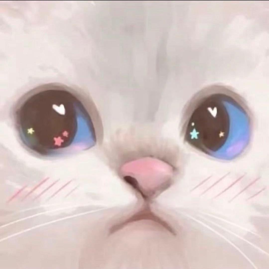 喵喵酱~